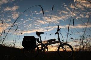 dahon folding bike sunset with wheat